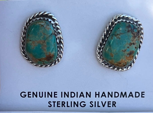 Turquoise Sterling Silver earrings