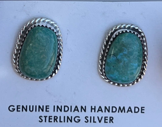 Turquoise Sterling Silver earrings